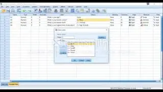 ELTF SPSS Introduction video