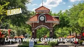 Live in Winter Garden Florida with Tracy & Colin