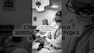 #мягкиероды