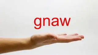 How to Pronounce gnaw - American English