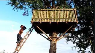 Amazing Build Bamboo Swimming Pool On Tree