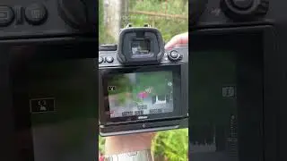 Cara baca Histogram di kamera Mirrorless￼