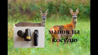 Манок на косулю Hubertus Reh - FIEPBLATTER Компактный, Пластиковый. Как манить косулю, звук манка.