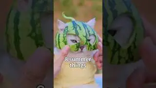 8 Summer Cat Requests You Must Know‼️