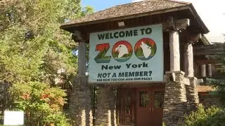 Jefferson County is considering giving money to Zoo New York