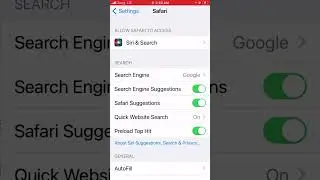 safari cannot open the page because it could not connect to the server