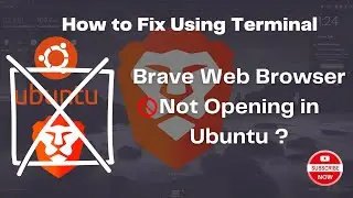 Brave Web Browser Not Opening in Ubuntu ?  How to Fix Using Terminal @2SourceFort