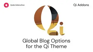 Introducing the Qi Theme Blog Options