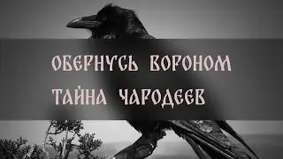 ОБЕРНУСЬ ВОРОНОМ. ТАЙНА ЧАРОДЕЕВ. ДЛЯ ВСЕХ ▴ ВЕДЬМИНА ИЗБА. ИНГА ХОСРОЕВА