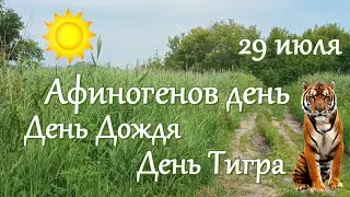 29 июля. Афиногенов день. Народные традиции и приметы. День Тигра. День Дождя.