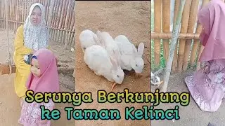 Kelincinya Lucu-lucu ya, Ada Burung Hantunya juga