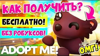 🍯КАК ПОЛУЧИТЬ БЕСПЛАТНО НОВОГО МЕДОЕДА В АДОПТ МИ?😱🍯НОВОЕ ОБНОВЛЕНИЕ👀FREE NEW PET ADOPT ME