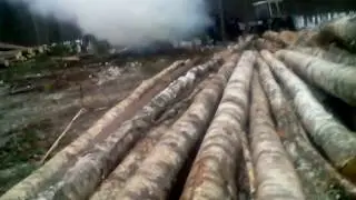 начинаем пилить новую делянку