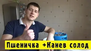 🍺Домашнее пивоварение -  Пшеничка +Канев Солод #Hiking UA