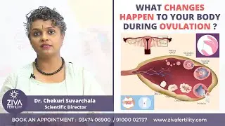 Best Time For Pregnancy || Ovulation Changes In Your Body || Dr C Suvarchalaa || ZIVA Fertilityy