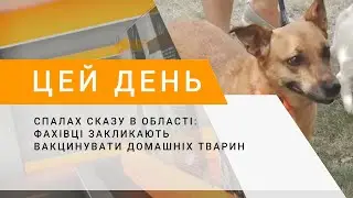 Спалах сказу в області: фахівці закликають вакцинувати домашніх тварин