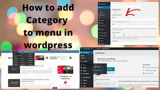 How to add Category to Menu in Wordpress in 2 Ways