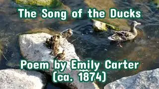 The Song of the Ducks - a fun poem by Emily Carter (ca. 1874)