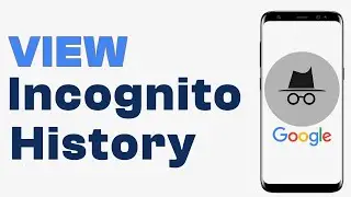 How to View Incognito browsing History on Google Chrome - Quick Guide