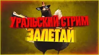 Стрим CS GO Утро среды АК-47 каждых 50 лайков + тройной опыт  и четверной урон)