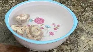 Кишки. Требуха. Как чистить кишки