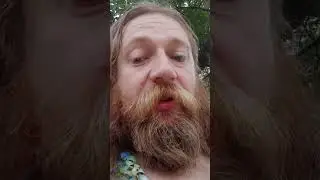 О честности и непредвзятости в спорте и не только