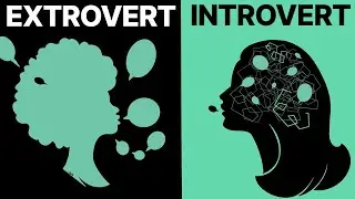 Lone WOLF vs Social BUTTERFLY: Are You An Introvert Or An Extravert