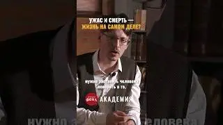 Почему жизнь — не только ужас, боль и страдания?