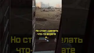 Пошли просмотры!