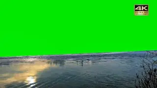 water river green screen