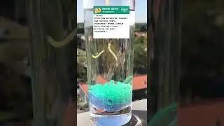 Анекдот про мента и пьяного мужика😂 