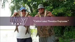 🐠 Свійські лящі Михайла Кирішева ▶ ШОуОЛДА №356 ▶ Трофей