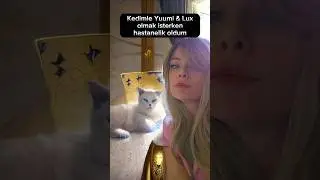 BU KEDİ FULL KRİT RENGARA DÖNÜŞTÜ