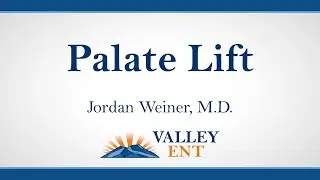 Dr. Jordan Weiner Discusses the Palate Lift Procedure