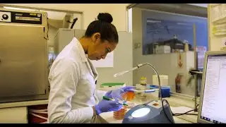 Listeria Outbreak South Africa: Bio-Rad and Microchem's Collaboration