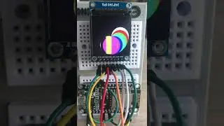 TFT ST7789 Display vs ESP8266 #arduino #esp2866 #microcontroller #rgb #arduinoproject