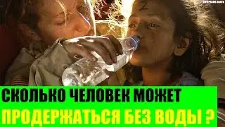 Сколько человек может продержаться без воды?