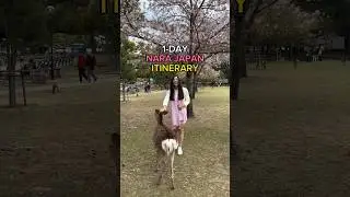 NARA JAPAN ITINERARY 🦌🌸🍂 