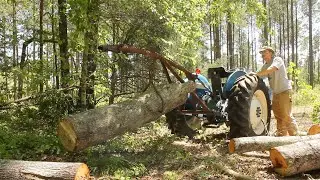 Opening Up an Amazing Hickory Crotch Log