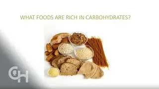 Effect of Carbohydrates on Blood Sugars