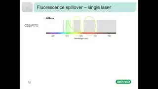 Fluorescence and Compensation in Flow Cytometry