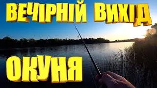 Вечірня рибалка на окуня.  Роздача окуня на кастомний телескопічний спінінг МАВКА.