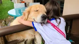 Nothing makes you happier than a dogs love ❤️ Animals Showing Love to Human