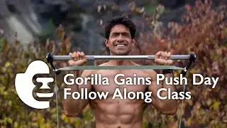 Gorilla Gains Push Day Follow Along Class