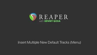 Insert Multiple New Default Tracks (Menu) in REAPER