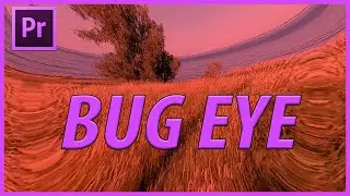 How to Create a Bug Eye Effect in Adobe Premiere Pro CC (2023)