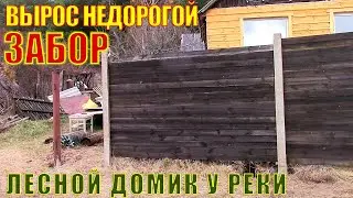 Вырос ЗАБОР на лесном домике у реки у художника в деревне. Дешевый и быстрый ЗАБОР.