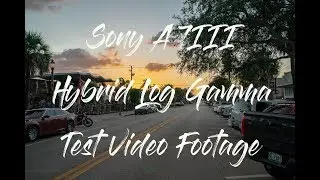 Sony A7III HLG Video Test Footage