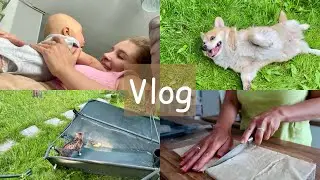 разучилась готовить😹 прикол от Таффи ! моя нежность ❤️УРАГАН в Питере! VLOG