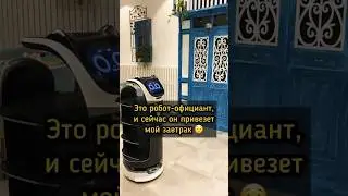 😱 ОАЭ удивляют - вот это сервис в отеле 5*! 